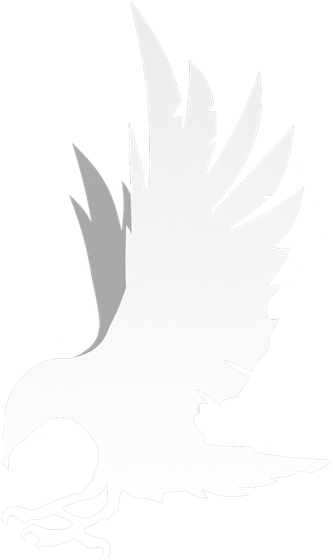 Hrafninn — korpen